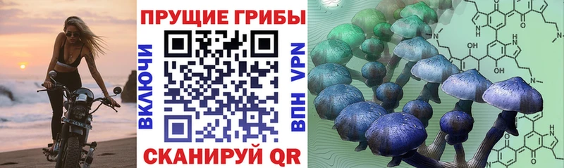 Галлюциногенные грибы GOLDEN TEACHER  Купить  Велиж 